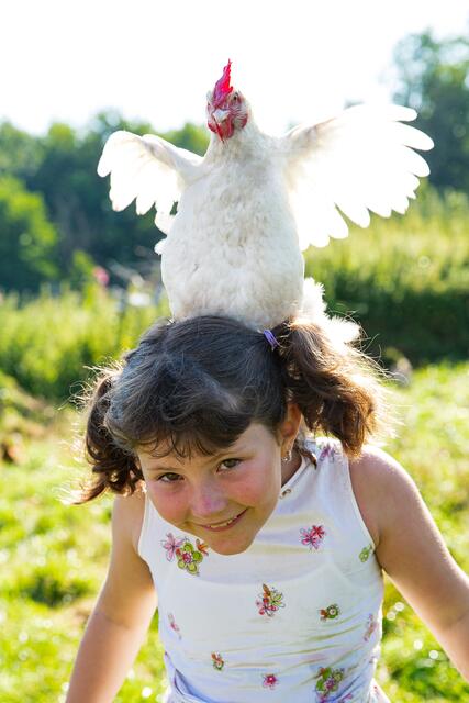 Bio-Eier runden das Programm ab | Foto: Foto: Martin Jordan