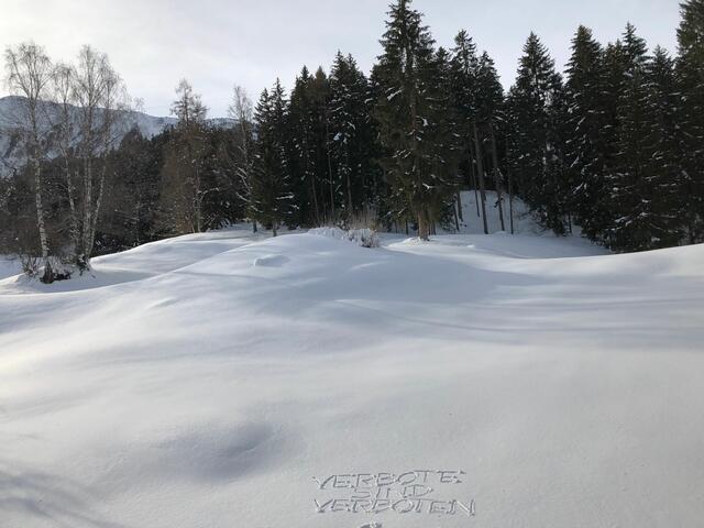 "Verbote sind verboten" – so lautet das Motto der Innsbrucker Ernährungsberaterin und Diätologin Edburg Edlinger. | Foto: Sabrina Juen