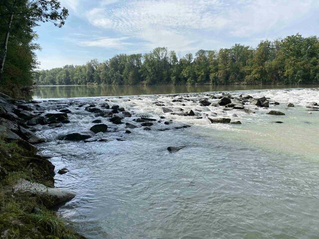 Die aus Wasserbausteinen bestehenden Sohlrampen werden abgeflacht und mit strömungslenkenden Elementen ergänzt, um Fischen den Übergang zu erleichtern.