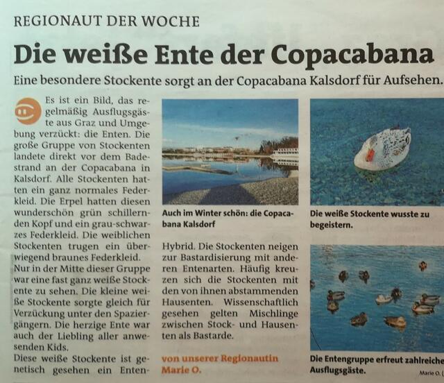 Die weiße Ente auf der Copacapana