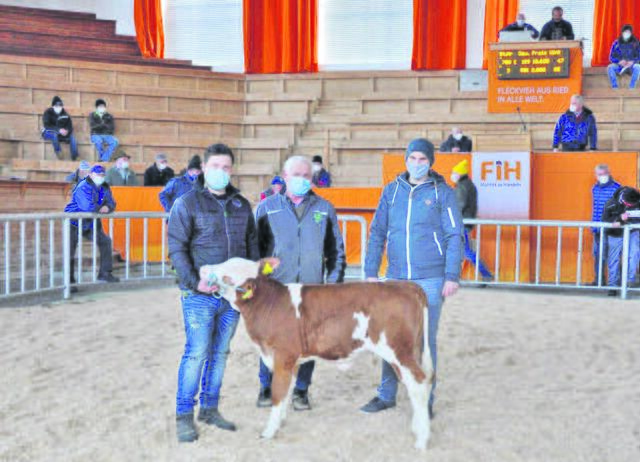 Ein genetisch reinerbig hornloses Valtra-Kalb aus einer Medicus-Tochter, gezüchtet vom Betrieb Ranftl aus Weng, wurde um 10.600 Euro vom Zuchtbetrieb Fürst aus Lasberg erworben.