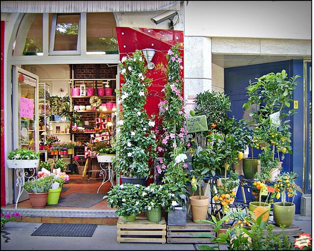 Auf Blumen muss man auch im Lockdown nicht verzichten. Die Blumenwerstatt Rath ist auch weiterhin für seine Kunden da.
