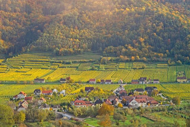 Malerisch liegt Rührsdorf in der Gemeinde Rossatz.