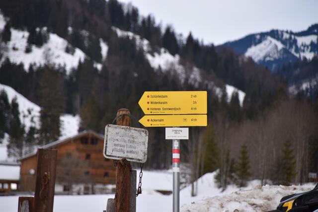 Auch beim Langlaufen kann man in Landl Grenzen im wahrsten Sinne des Wortes überschreiten.  | Foto: Barbara Fluckinger