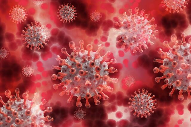 Im Bezirk Kufstein sind 113 Personen aktiv mit dem Coronavirus infiziert (Stand: 21. Jänner/11:15 Uhr).