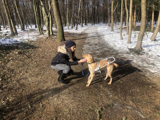Unzertrennliches Gespann: Blindenhund Charly lotst Frauchen Dana Kreuz durch den Alltag und "zeigt" Hindernisse und Stolperfallen.