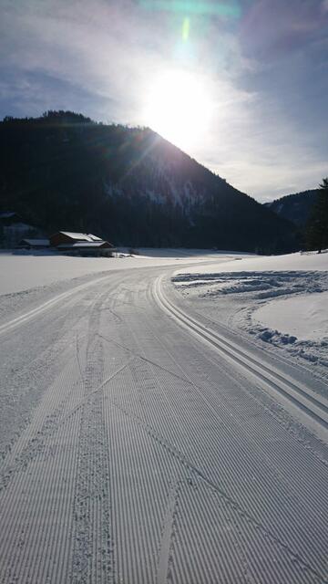 So sieht die Strecke an einem sonnigen Tag aus.  | Foto: Trainer