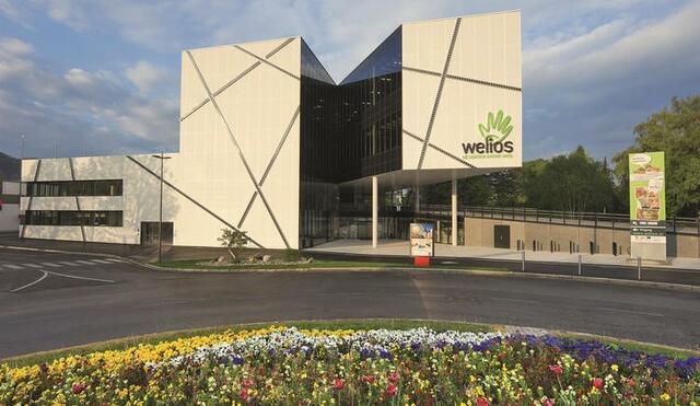 Im Onlinte-Talk werden die Folgen der Corona-Pandemie besprochen. | Foto: Tourismusregion Wels