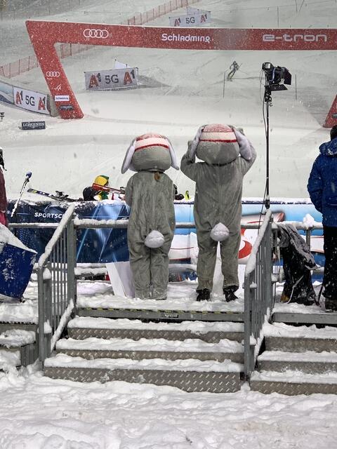 Foto: Hollinger Marc