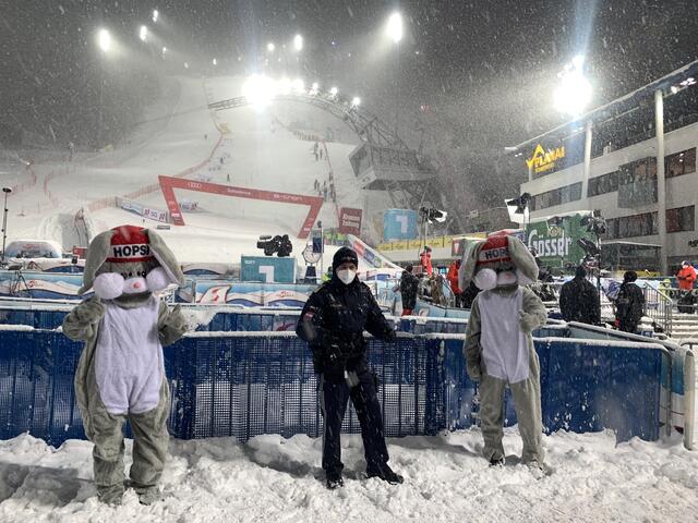 Foto: Hollinger Marc