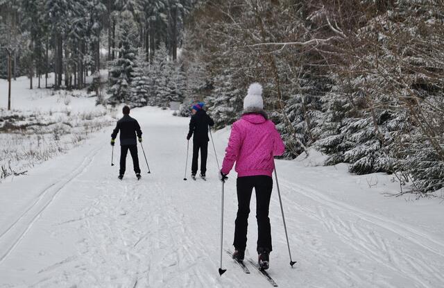Der Schnee von gestern bringt perfekte Loipen in Hellbrunn hervor. Mit genügend Abstand lässt sich so das Winter-feeling direkt in der Stadt genießen.