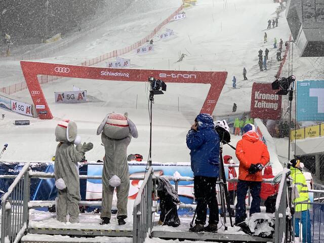 Foto: Hollinger Marc