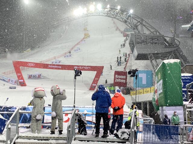 Foto: Hollinger Marc