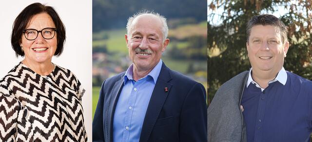 Gudrun Staubmann-Frizzi, Arnulf Warmuth und Günter Kernle stehen am 28. Februar zur Wahl. | Foto: Privat