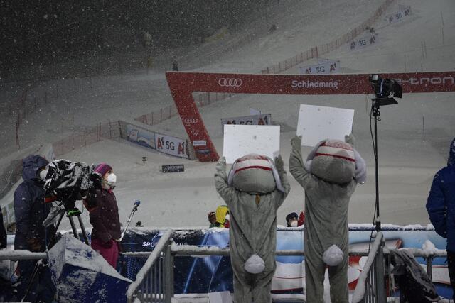 Die Hopsis waren die einzigen Fans, die für Stimmung sorgten. Ein Schladminger Nachtslalom vor leeren Rängen bleibt hoffentlich die einmalige Ausnahme. | Foto: Hollinger Marc