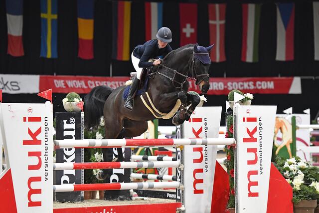 Stefanie Lindner im Finale der Large Tour (1,40 m) bei den diesjährigen Neuro Socks Amadeus Horse Indoors mit ihrem 11-jährigen in Baden Württemberg gezogenen Wallach Caligula K.  | Foto: Sibil Slejko  