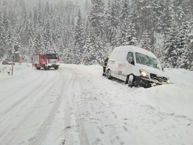 Foto: S. Meissinger