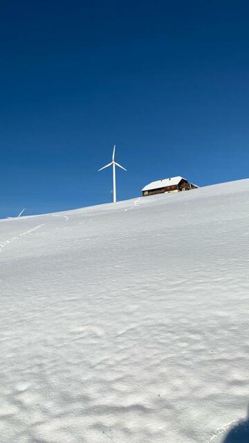 Unterhalb des Windparks in Laussa.  | Foto: Privat