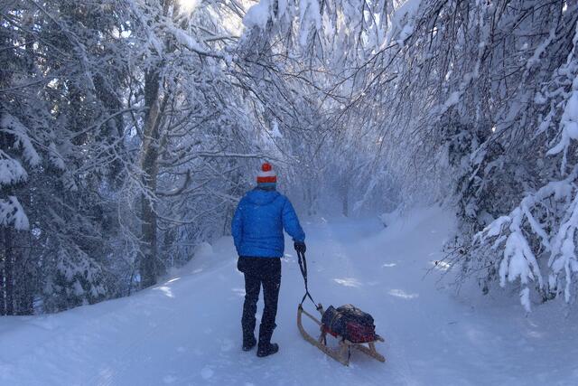 so schön..wenn der Schnee von den Bäumen fällt...man fühlt sich wie die Goldmarie..es glitzert überall