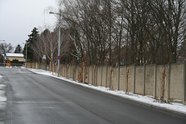 Bei der Wildgartenallee wird noch heuer ein Eingang zum Südwestfriedhof geschaffen. | Foto: Karl Pufler