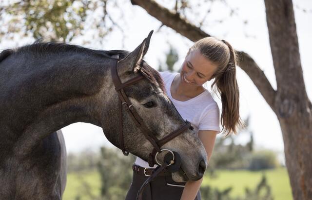 Stute Candy Crush ist seit ihrem ersten Tag im Besitz von Stefanie Lindner und derzeit trächtig.  | Foto: Patricia Koppenberger