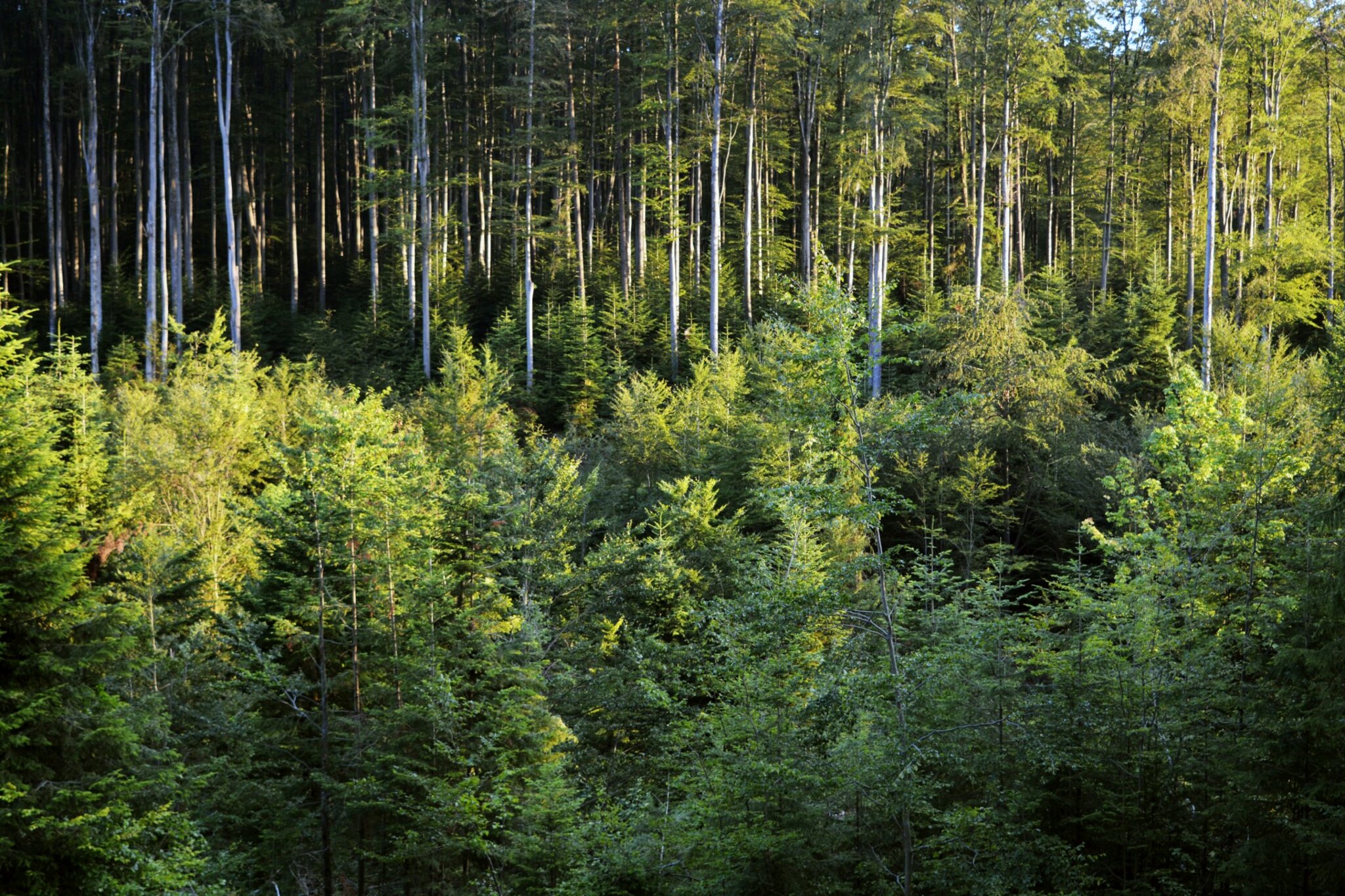 Richtigstellung Richtigstellung zu 
