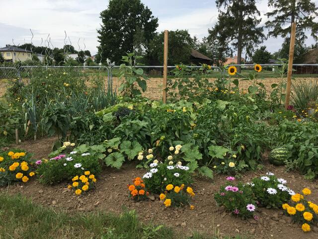 Foto: Stadtgemeinde Mistelbach