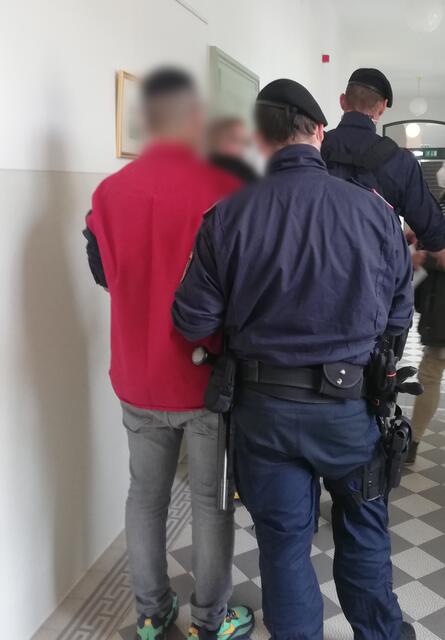 Die Angeklagten im Landesgericht St. Pölten. | Foto: Probst