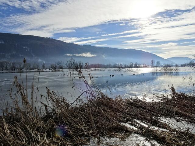 Am Ostufer des Ossiacher Sees wurde unter viel Aufwand vom Jahre 2016 bis 2018 das 220 Hektar große Bleistätter Moor geflutet und bildet seither ein Paradies für Pflanzen und Tiere. 