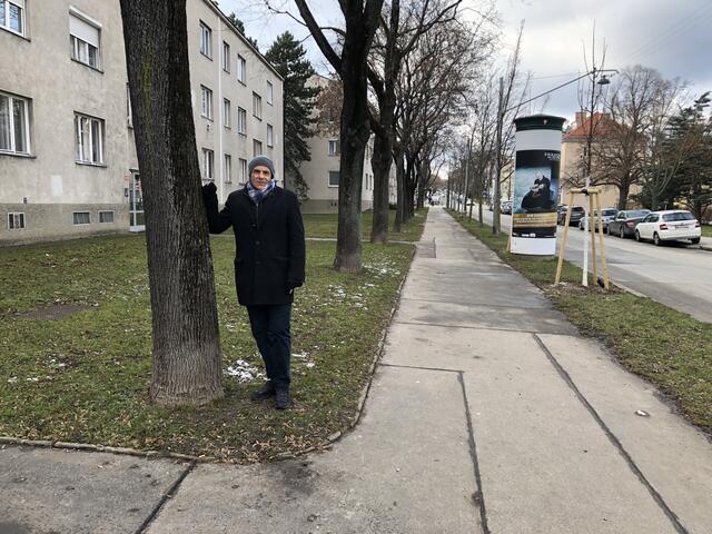 Alexander Mayr-Harting von der Initiative "Zukunft Stadtbaum" macht sich Sorgen um den Zustand der Bäume in Hietzing. | Foto: Berger