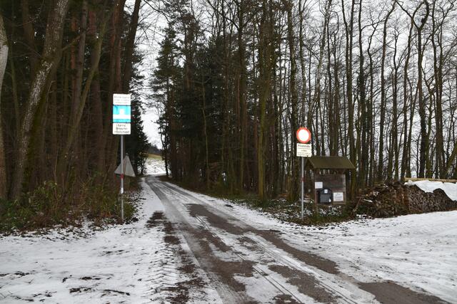 Foto: Karin Zeiler / Bezirksblätter NÖ