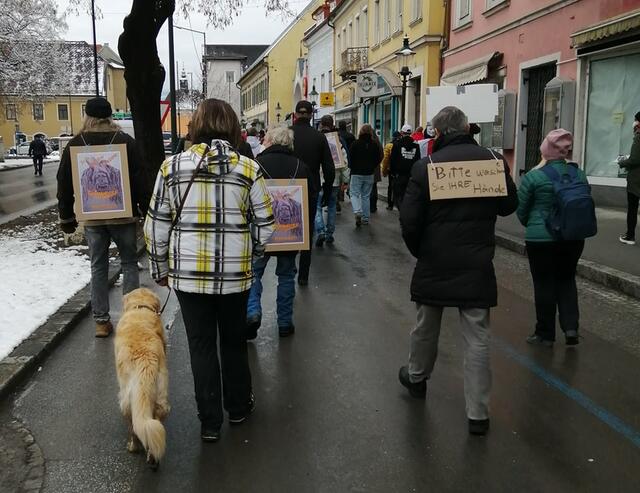 Rund 150 Teilnehmer zogen am Sonntag Nachmittag durch die Voitsberger Innenstadt. | Foto: KN