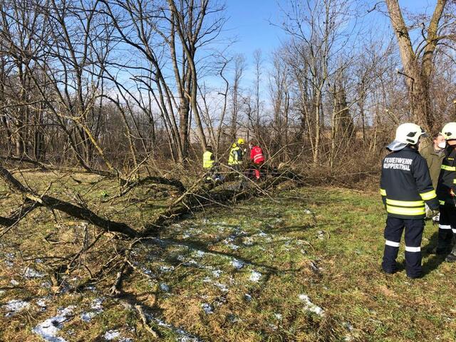 Foto: FF Großweikersdorf
