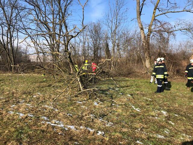 Foto: FF Großweikersdorf