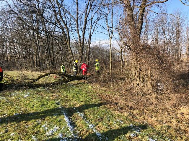 Foto: FF Großweikersdorf
