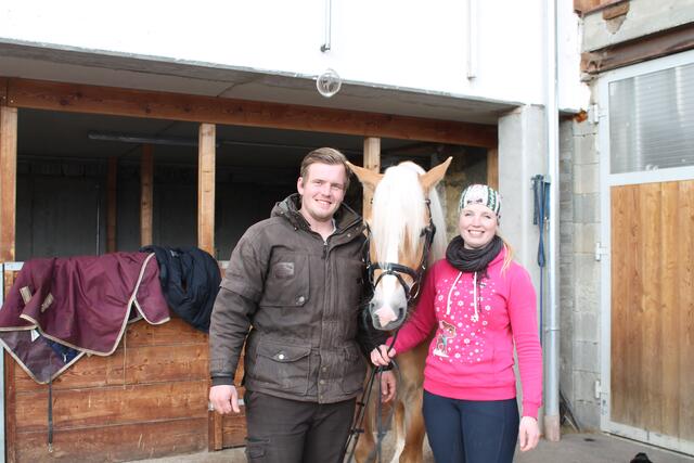 Ein Team: Janine Grafenauer und Partner Philipp Feiel mit „Walescano“. Der Haflinger-Hengst ist das Herzstück der neuen Deckstation. | Foto: Schauerte