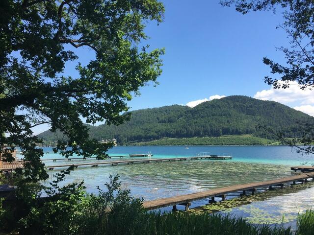 Vier Kandidaten stellen sich in St. Kanzian der Bürgermeisterwahl. | Foto: Foto: Kristina Orasche