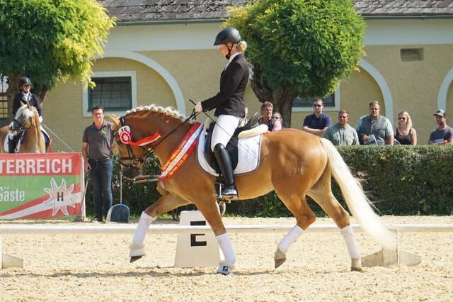 Foto: Stefanie Wuzella