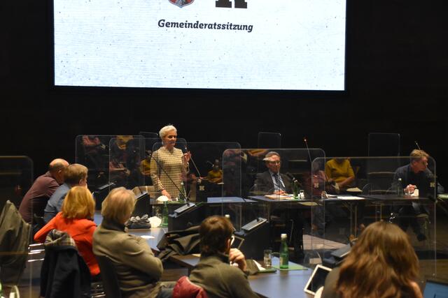 Vize-Bgm. Brigitta Klein (Die Parteifreien) nahm die Grünen nicht aus der Verantwortung heraus, stimmte aber für den Antrag.  | Foto: Barbara Fluckinger
