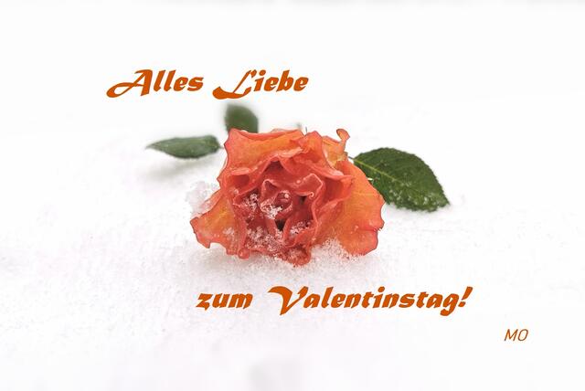 Alles Liebe zum Valentinstag