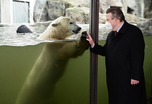 Auch für den Bürgermeister gilt während des Zoobesuchs Maskenpflicht.