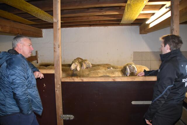 Beim Fachsimpeln: Michael Bacher und Gerald Penz | Foto: Kainz