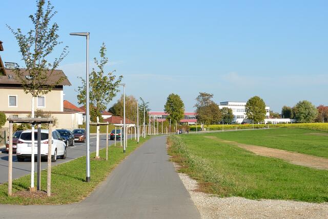 Die Radwege in Braunau werden weiter ausgebaut. | Foto: Stadtamt Braunau