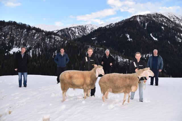 V.l.: GBO Bgm. Alexander Woertz, Bgm. Lukas Peer, Züchter Gerald Penz, NR Hermann Gahr, Alexandra Wibmer und Tirols Oberschafeler Michael Bacher | Foto: Kainz