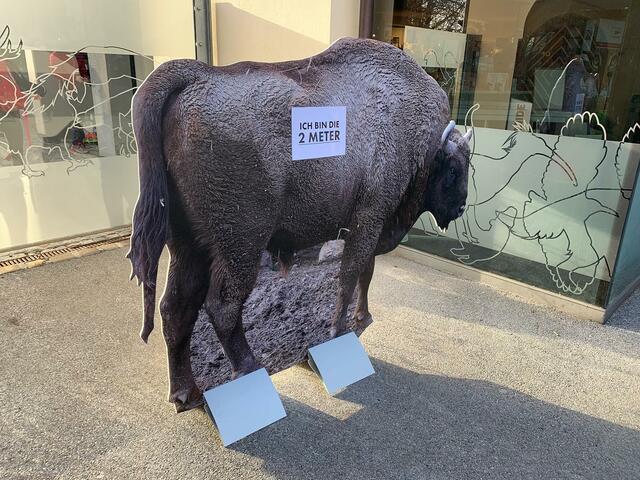 Der Alpenzoo durfte endlich wieder öffnen. | Foto: Alpenzoo Innsbruck