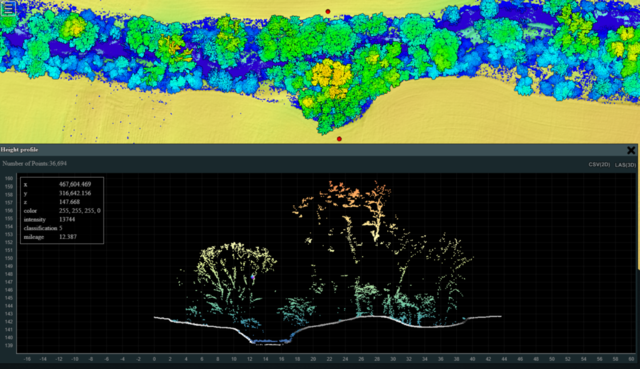 Foto: Skyability GmbH