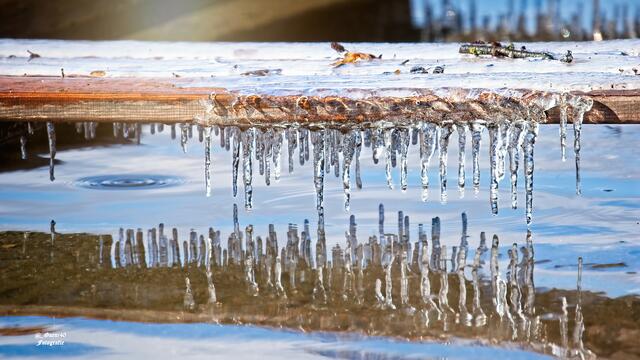 ........die Eiszähne beissen heut doppelt zu........