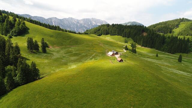 Almen im Natiuonalpark Kalkalpen