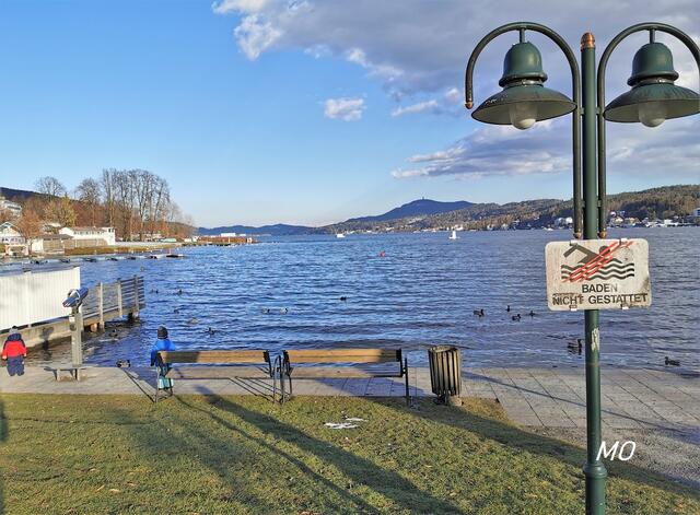 Entenfüttern am Wörthersee