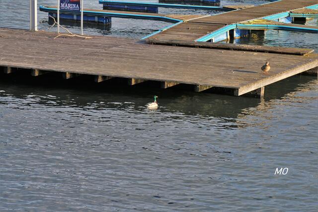 Marina am Wörthersee